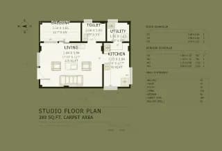 STUDIO floor plan, 388 sq ft carpet area